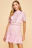 Baby Pink Lace Mini Dress